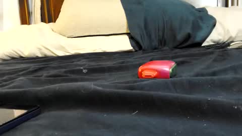 Snapshot of twinkkluvva chatting on 17, 2, 2026 twinkkluvva online show from 17, 2, 2026