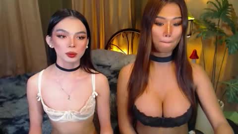 twinktransshanel online show from 8, 10, 2025