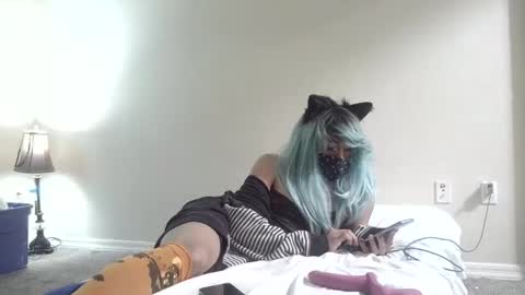 Snapshot of twinkyteddy chatting on 6, 10, 2025 twinkyteddy online show from 6, 10, 2025