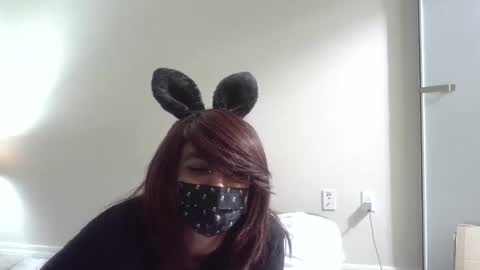 Snapshot of twinkyteddy chatting on 8, 10, 2025 twinkyteddy online show from 8, 10, 2025