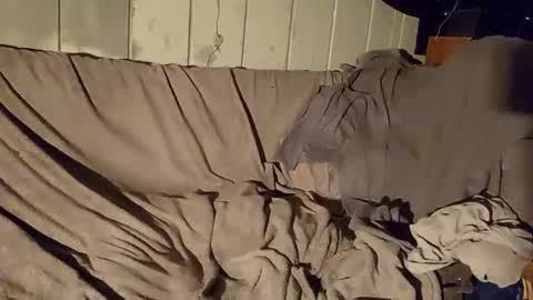 TwistedBlizzy online show from 22, 1, 2025