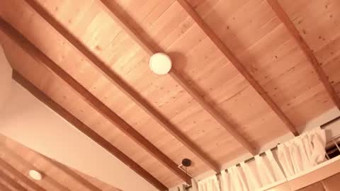 Twiggy online show from 27, 2, 2025