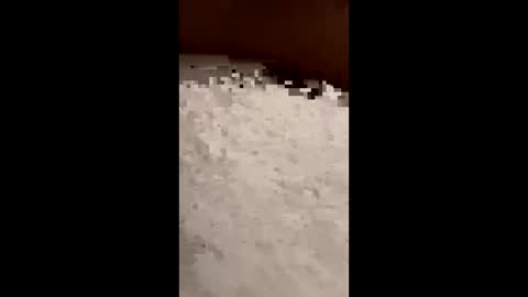 Snapshot of txcouple281 chatting on 16, 11, 2025 txcouple281 online show from 16, 11, 2025