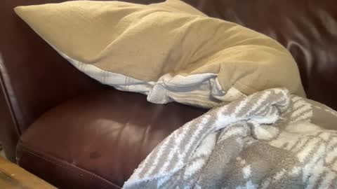 Snapshot of ty23333 chatting on 6, 2, 2025 ty223222 online show from 6, 2, 2025