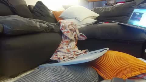 tysonjameson online show from 20, 12, 2024