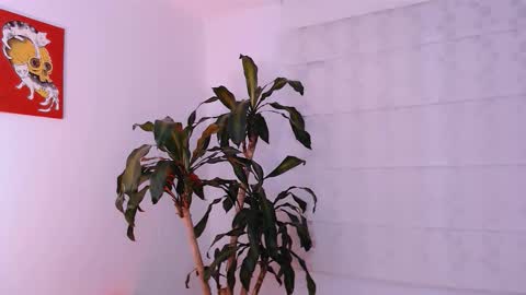 Martina online show from 11, 10, 2025