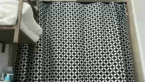 Snapshot of unverifiedbwc chatting on 2, 12, 2025 Stepbro online show from 2, 12, 2025