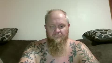 up_bear10 online show from 23, 7, 2026