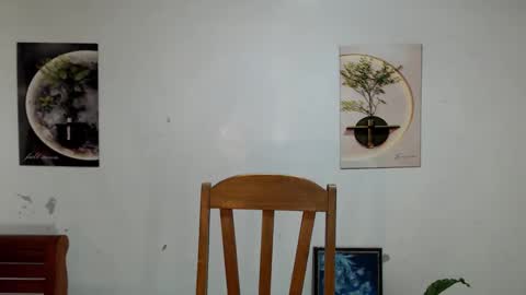       online show from 29, 5, 2026