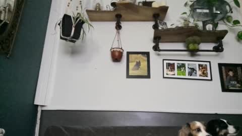 MYMY online show from 8, 2, 2026