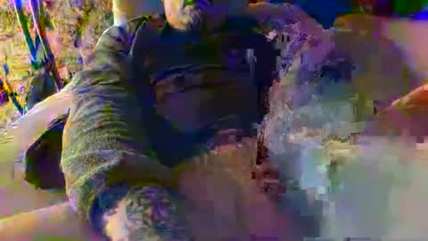 urukai79 online show from 6, 2, 2026