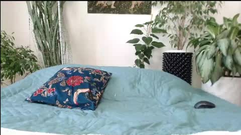 Mollyy Valentine online show from 23, 4, 2026