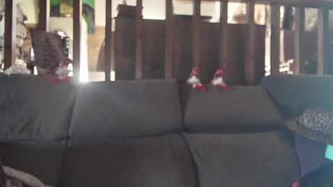 Snapshot of vampwoman chatting on 15, 12, 2024 vampwoman online show from 15, 12, 2024