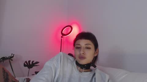 Babi Alu online show from 25, 2, 2025