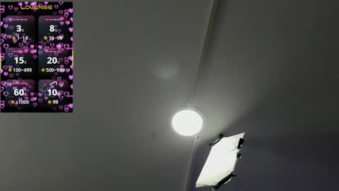 V A N E  online show from 21, 9, 2025