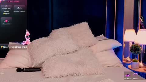 Snapshot of vanessaangelx chatting on 11, 3, 2025 Vanessa Diamond online show from 11, 3, 2025