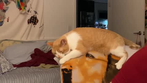 Snapshot of vanessapark chatting on 15, 12, 2025 Vanessa online show from 15, 12, 2025