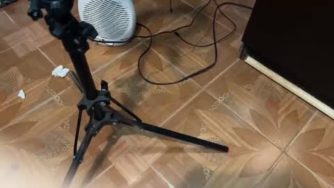 Geovani Agustin Garcia online show from 5, 2, 2026