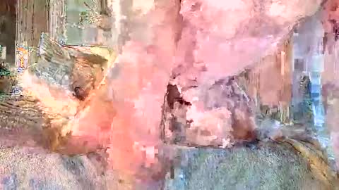 Snapshot of vanillasnackpack007 chatting on 3, 2, 2026 vanillasnackpack007 online show from 3, 2, 2026