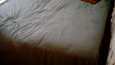 Snapshot of vankmen69 chatting on 25, 10, 2025 Usagi online show from 25, 10, 2025