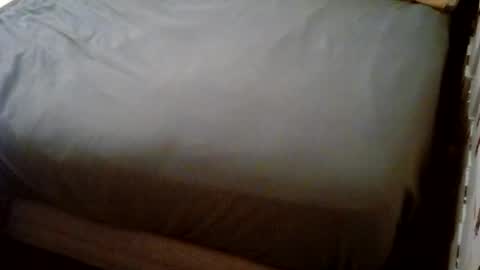 Snapshot of vankmen69 chatting on 22, 12, 2025 Usagi online show from 22, 12, 2025