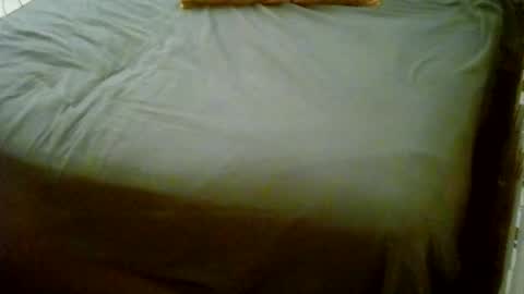 Snapshot of vankmen69 chatting on 18, 1, 2026 Usagi online show from 18, 1, 2026