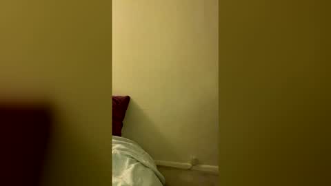 Vault Slut 111  online show from 16, 4, 2026