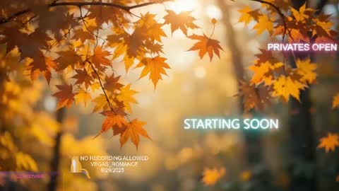Snapshot of vegas_romance chatting on 30, 9, 2025 vegas_romance online show from 30, 9, 2025