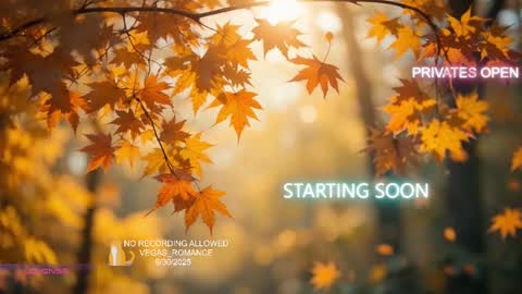 Snapshot of vegas_romance chatting on 1, 10, 2025 vegas_romance online show from 1, 10, 2025