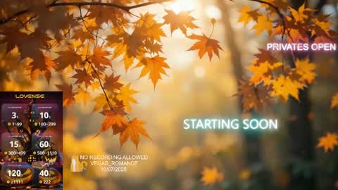 Snapshot of vegas_romance chatting on 8, 10, 2025 vegas_romance online show from 8, 10, 2025