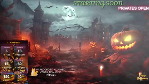 Snapshot of vegas_romance chatting on 2, 11, 2025 vegas_romance online show from 2, 11, 2025