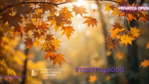 Snapshot of vegas_romance chatting on 3, 11, 2025 vegas_romance online show from 3, 11, 2025