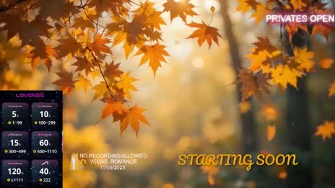 Snapshot of vegas_romance chatting on 9, 11, 2025 vegas_romance online show from 9, 11, 2025