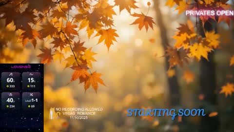 Snapshot of vegas_romance chatting on 11, 11, 2025 vegas_romance online show from 11, 11, 2025