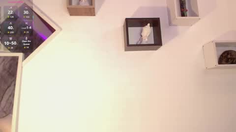 Isabella online show from 1, 4, 2026