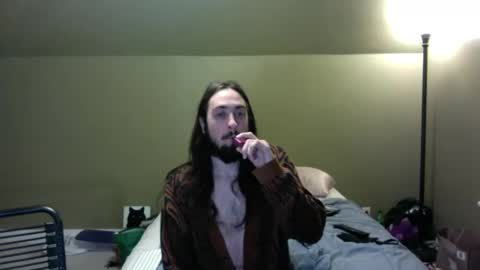 velvetpaws online show from 12, 3, 2025