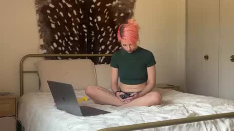 venustheflytrap online show from 28, 7, 2026