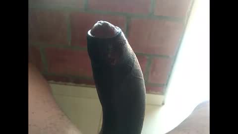 ver_gonblack online show from 11, 1, 2025