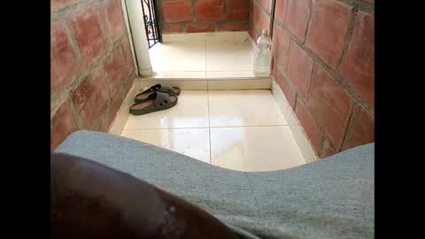 ver_gonblack online show from 12, 2, 2025