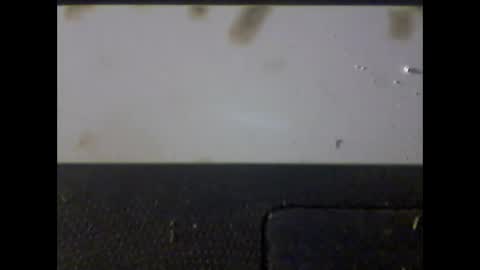 Im DanielVerdo  25 years old Lets have Fun and just ask what wanne know   tnew anal bigock cum  slave  fullnaked online show from 1, 3, 2025