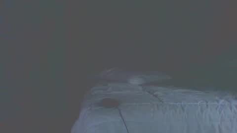 Snapshot of vergagolosa22 chatting on 20, 11, 2025 vergagolosa22 online show from 20, 11, 2025