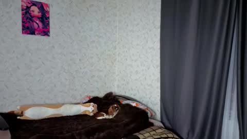 Snapshot of verocat chatting on 4, 3, 2026 Veronica online show from 4, 3, 2026