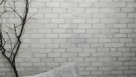 Snapshot of veryveryshygirl chatting on 28, 1, 2025 Ana online show from 28, 1, 2025