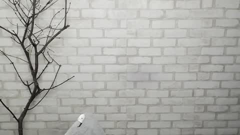 Snapshot of veryveryshygirl chatting on 3, 2, 2025 Ana online show from 3, 2, 2025