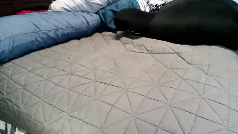 Snapshot of vexnew chatting on 4, 11, 2025 Vexnew online show from 4, 11, 2025