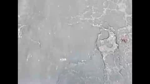 viciouzz1 online show from 24, 11, 2025