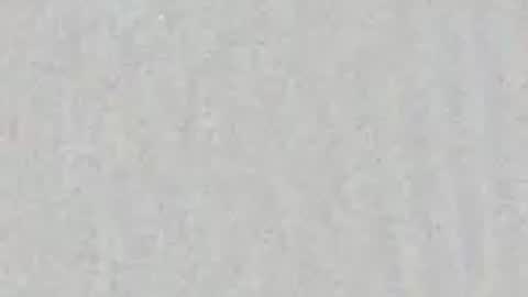 Vicky  Diego online show from 21, 4, 2026