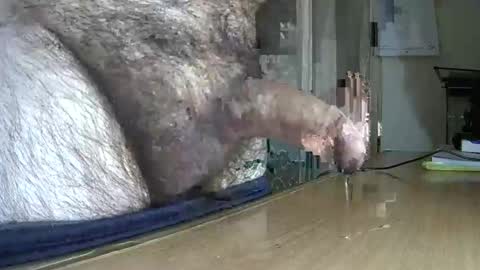 Snapshot of victorhume chatting on 6, 3, 2025 VictorHume online show from 6, 3, 2025