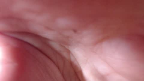 VictoryVega online show from 11, 9, 2025