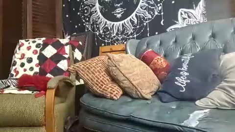 Snapshot of victoryyisours chatting on 29, 10, 2025 victoryyisours online show from 29, 10, 2025